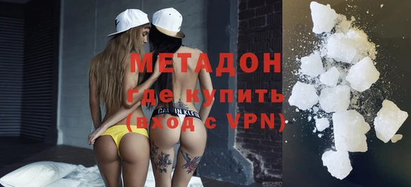 шишки Аркадак