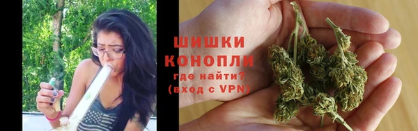 шишки Аркадак