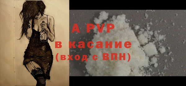 шишки Аркадак