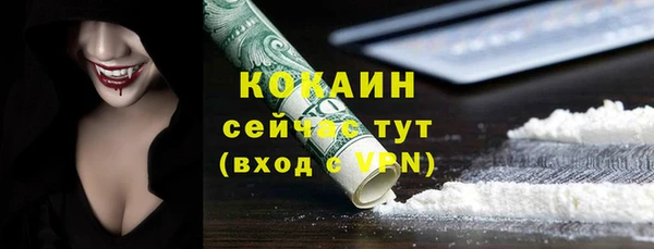 шишки Аркадак