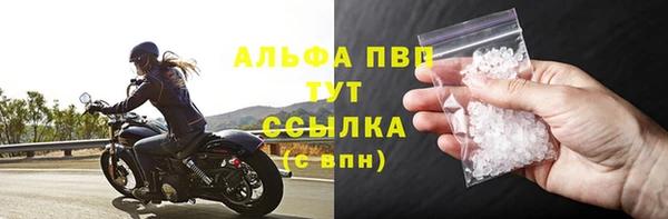 шишки Аркадак