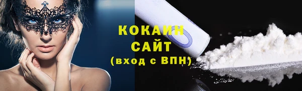 дживик Арсеньев