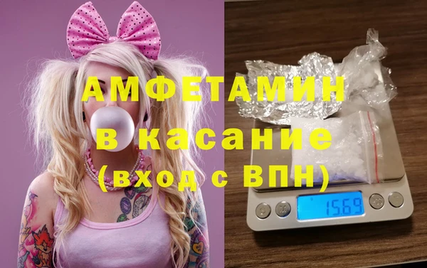 шишки Аркадак