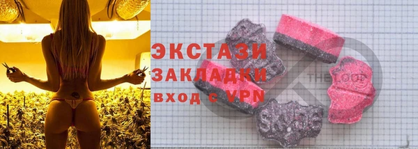 шишки Аркадак