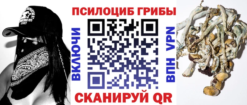 Галлюциногенные грибы Psilocybine cubensis Армянск