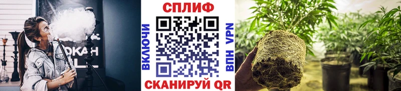 Каннабис Ganja даркнет сайт Армянск